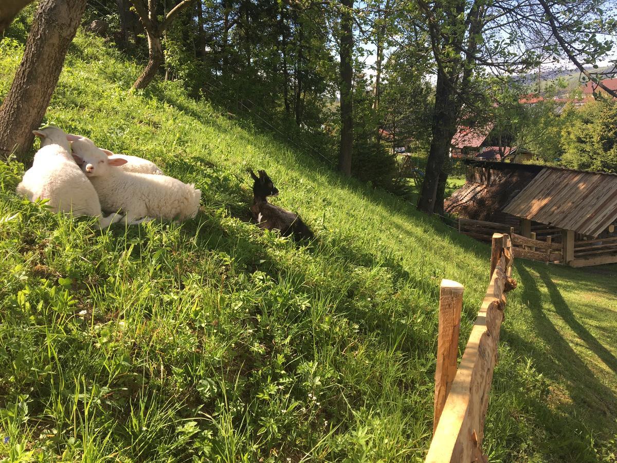 Chata Skerda - Bölényfalu Kültér fotó